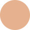 vfx pro camera ready foundation 00 alabaster