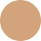 vfx pro camera ready foundation 00 alabaster