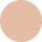 vfx pro camera ready foundation 00 alabaster
