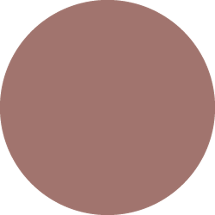 matte liquid lipstick fall edition - determined