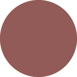 matte liquid lipstick fall edition - determined